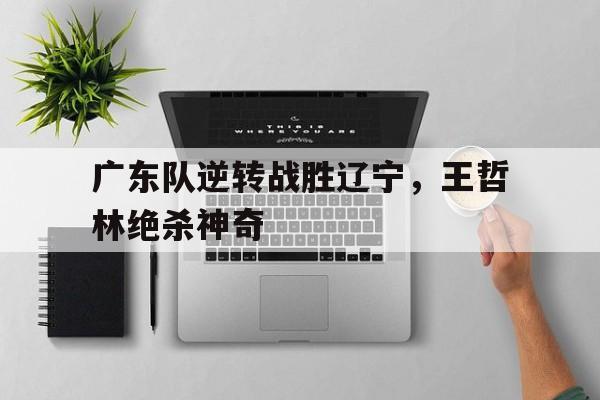 广东队逆转战胜辽宁，王哲林绝杀神奇